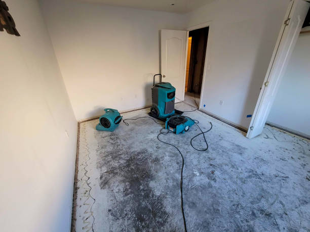 Best Flooded house restoration  in Wilsonville, OR