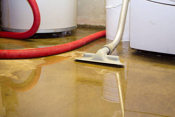 Best Water damage contractors near me  in Wilsonville, OR