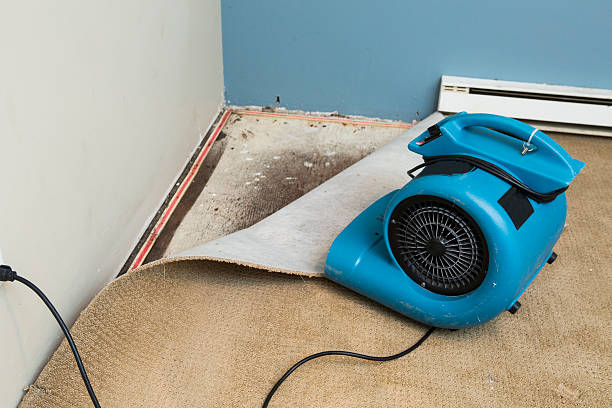 Best Water damage restoration near me  in Wilsonville, OR